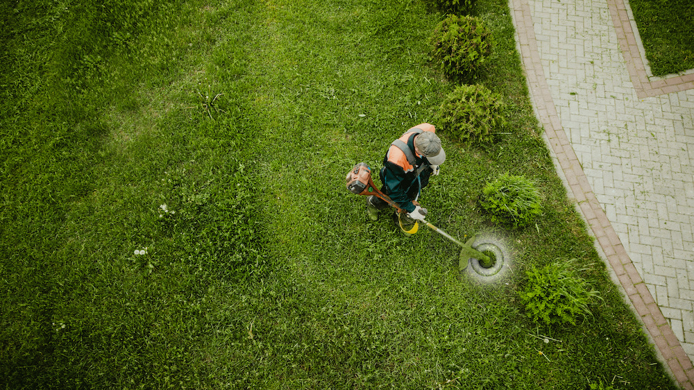 person weed whipping yard for spring yard maintenance