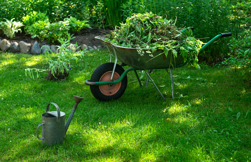 tools used for yard maintenance tips