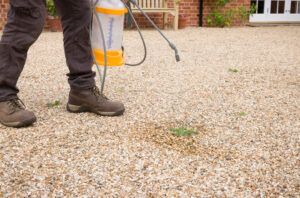 Man doing Arizona weed control